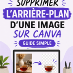 Une capture d'écran de l'outil de suppression d'arrière-plan de Canva avec des images modifiées.