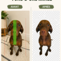 Un ordinateur affichant une application pour enlever le fond d'image, illustrant des outils numériques modernes.