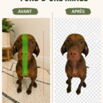 Un ordinateur affichant une application pour enlever le fond d'image, illustrant des outils numériques modernes.