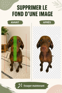 Un ordinateur affichant une application pour enlever le fond d'image, illustrant des outils numériques modernes.