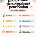 Capture d'écran d'une barre de progression personnalisée sur Notion.